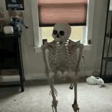 Falling skeleton animation